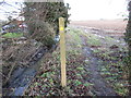 Footpath to the old railway in HU17 7RA