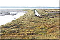 Mudbanks and saltmarsh at Stutton Mill in IP9 2TH