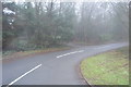 Sweethaws Lane in mist in TN6 1UE