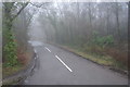 High Brooms Rd in mist in TN6 1HN