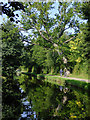 Llangollen Canal near St Martin's Moor, Shropshire in SY10 7BG