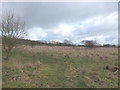 Scrubland North of Barker's Farm, Ashurst in WN8 6RB