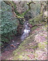 Stream between Kingsbury Court and Kestral Park, Ashurst in WN8 6RB