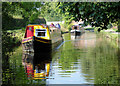 Narrowboats near St Martin's Moor, Shropshire in SY10 7BG