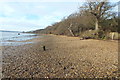 River Stour shoreline in IP9 2TQ
