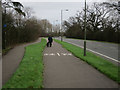 Foot and cycle paths by Horton Lane in KT19 7NS