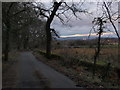 Road to Waulkmill Glen reservoir in G78 2SQ