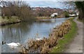 The Erewash Canal at Ilkeston in DE7 5BP
