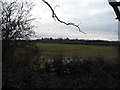 Field by The Green, Theale in RG7 5AS