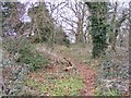 Hermitage Hill Coppice Path in WV15 5BY