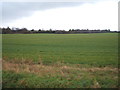 Flat farmland off Teversham Road in CB1 9BF