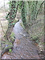 Dicket's Brook at Plough Lane, Lathom in L40 6HP