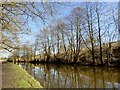 Leeds & Liverpool canal in PR6 8AZ