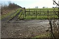 Field near Castle Farm in Farmborough