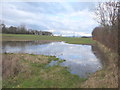 Poorly drained field north of Spa Lane, Lathom in Lathom South
