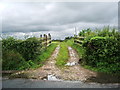 Footpath to Field Foot Farm in Whittingham
