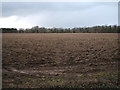 Field towards Chippenham Fen in CB7 5QB