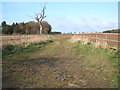 Farm track (bridleway) east of Freckenham in IP28 8JG