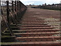 On the Bennerley Viaduct in NG16 2SA