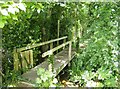 Footbridge near Blackwater in PO30 3BE