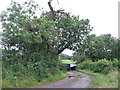 Footpath to Cloford Common Farm. in BA11 4PE