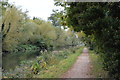 National Cycleroute 11 & Fen Rivers Way by the Cam in CB25 9JB