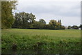 Grazing land by the Cam in CB25 9JB
