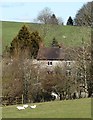 View of Newhouse Farm - the farmhouse in DE6 1JL