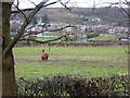 Llama at Goblin Farm, Denbigh in LL16 4BB