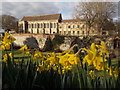 Eltham: daffodils at Eltham Palace in SE9 5NY