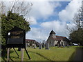 St Leonard, Broughton Hackett: early March 2016 in Broughton Hackett