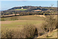 Towards Betchworth Quarry in KT20 7HN