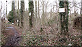 Signs nailed on trees beside the path to the fishing lake in NR9 3HB
