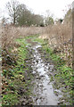 Muddy path around a fishing lake in NR9 3HB