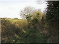 Bridleway to Farmborough in BA2 0BA