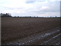 Field north west of Risby in IP28 6QW