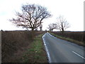 Minor road towards Bury St Edmunds in IP28 6RN