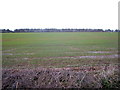 Flat farmland west of Fornham All Saints in IP28 6RA