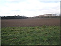 Farmland near Fornham All Saints in IP28 6LE