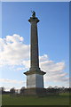 Column of Victory, Blenheim Park in OX20 1PS