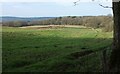 Field north of Whidcombe Brake in BS39 4NW