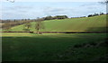 Farmland by Whidcombe Brake in BS39 4NW