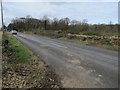 Trees removed by Salhouse Road in NR13 5BZ