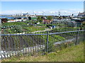 Allotments, Prince of Wales Road in LL65 1BA