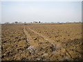 Muddy path across muddy field to Strelley Park Farm in Broxtowe District (B)