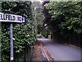 Wellfield Road leading to Old Town in S75 1DY