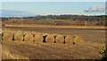 Bales by Forres Enterprise Park in IV36 2QT