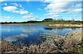 Spring At Trabboch Loch in KA5 5HX