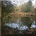 Fishing Pond, Green Lane Farm in WS7 9HF