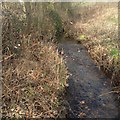 Stream near Boney Hay in WS15 4NQ